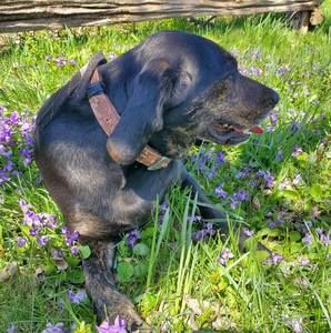 Meet your Posher, Curtis